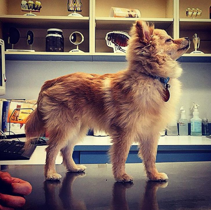 7c4dd95668890fd089e5885cfc