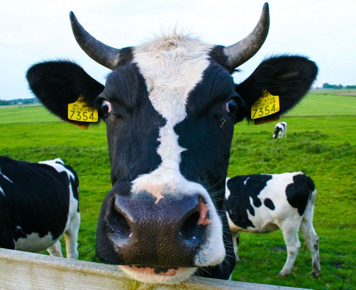 7c4e0454caa3ff64919fb991ab