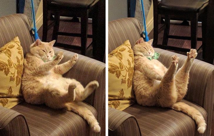 7c4f8656e3981e2659480ad9b2