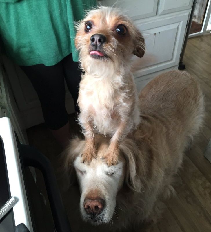 7c585b51f19e69ef6a69528765