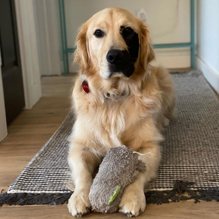 7c5c5551f3ab030c801fe037cb 7c5c5551f3ab030c801fe037cb