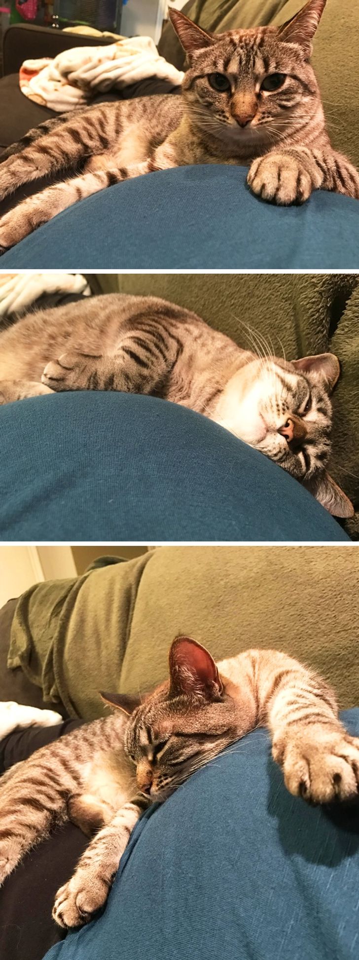 7c6491546d9fc0b8d8f94ceb4a