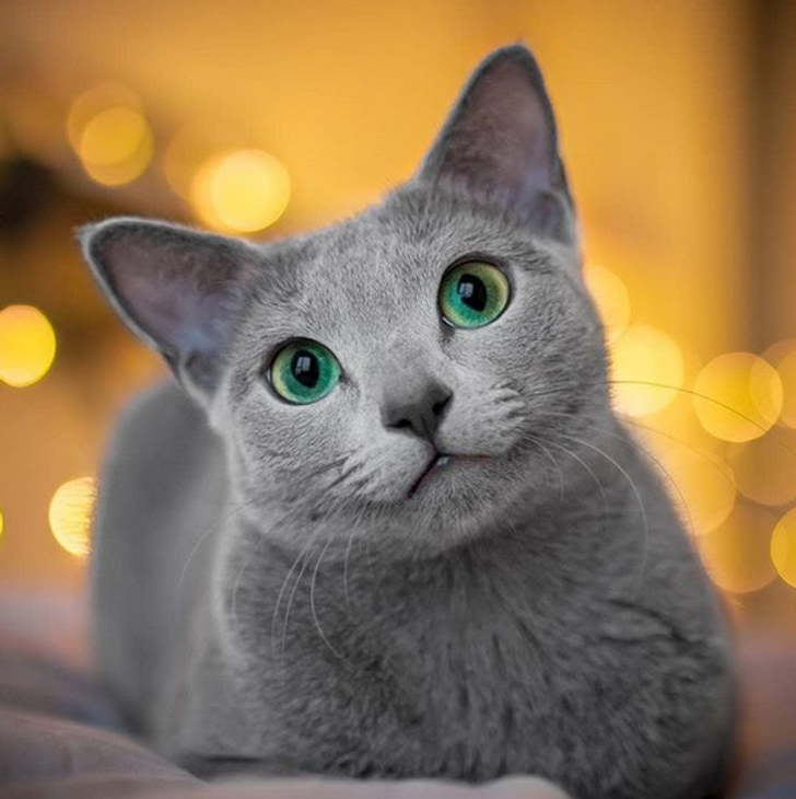 7c6b725fc3a2f6235e79f8fe23