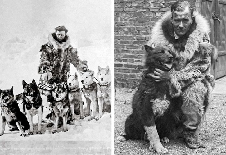 7c6d29595e88553931b6bd9b1a