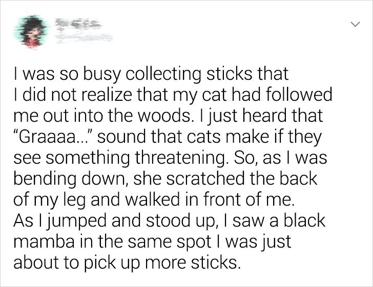 7c6db05694b6aaedfecd6e1442