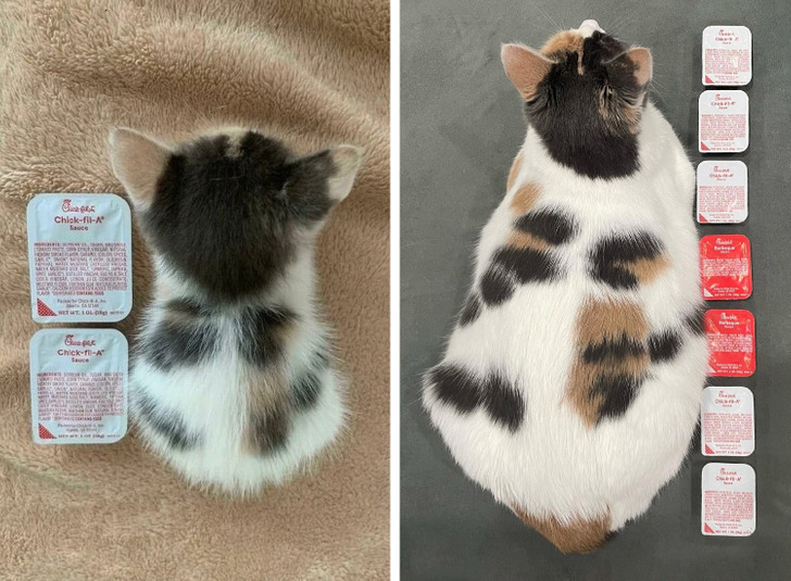 7c6fab5c5ebc5cd5c0b6850e8a