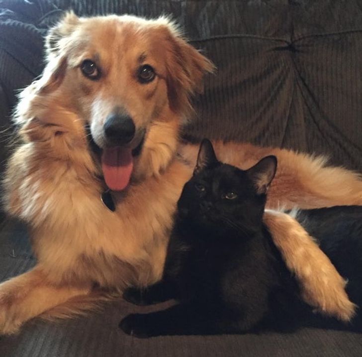 7c70a550039e4506e78d4ab3c6