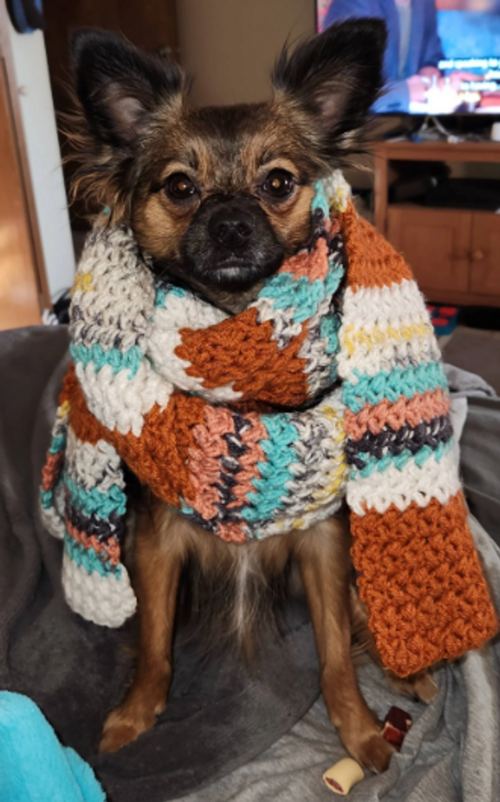 7c737b5c448a8ef8226338aafd 7c737b5c448a8ef8226338aafd