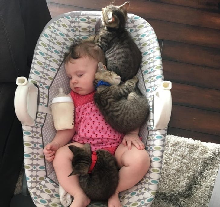 7c80465a849cbca57d3588b60f