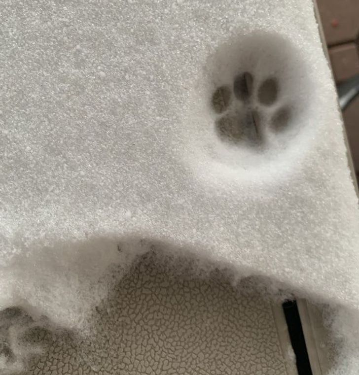 7c80e95cdc80ec8d872914dc43