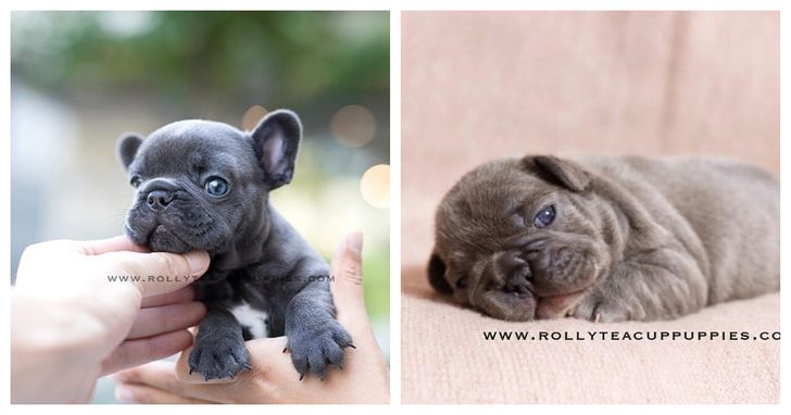 7c88a155508cfc080a0ad7d675