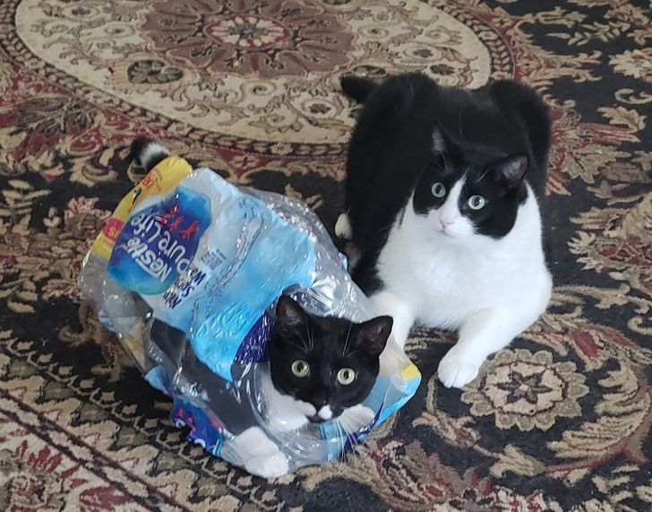 7c8e95542aba65e875529fb12b