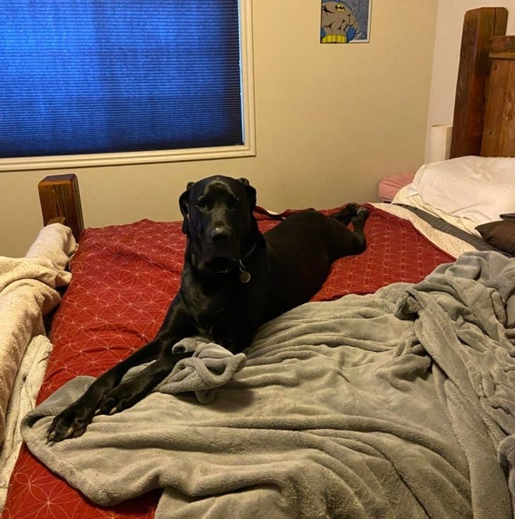 7c9223518ab36a6c9287e44b4a