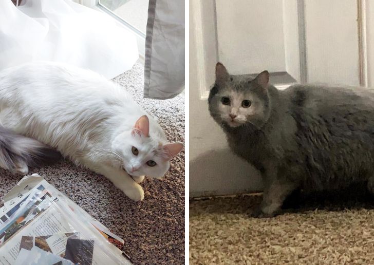 7c94625ad88f0ad6d83d51583b