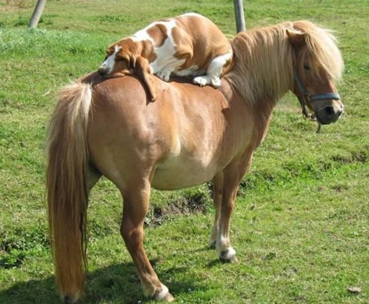 7c968553fab015b97c65a2ec6d