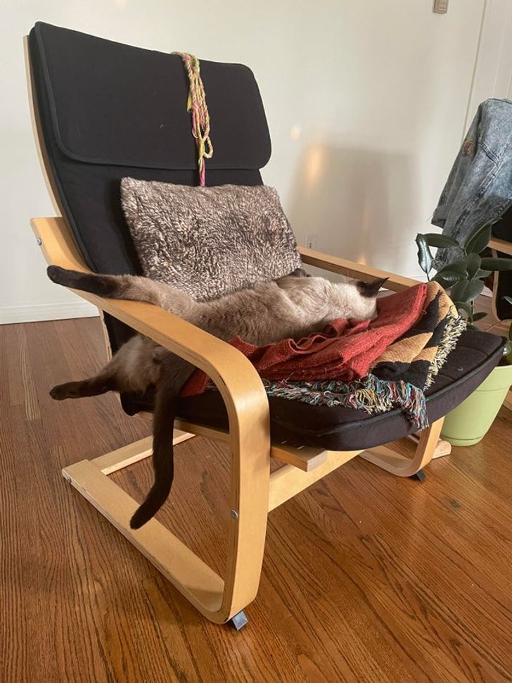 7c98f05fd8a4d731b5b9d0c1aa