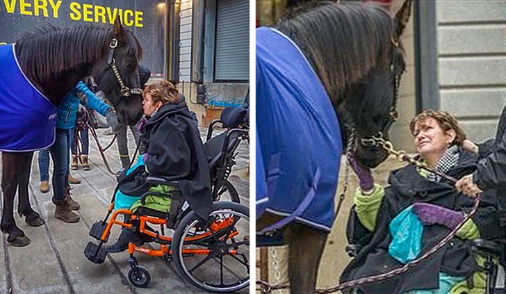 7c9e565605b11aea1efd491b6c