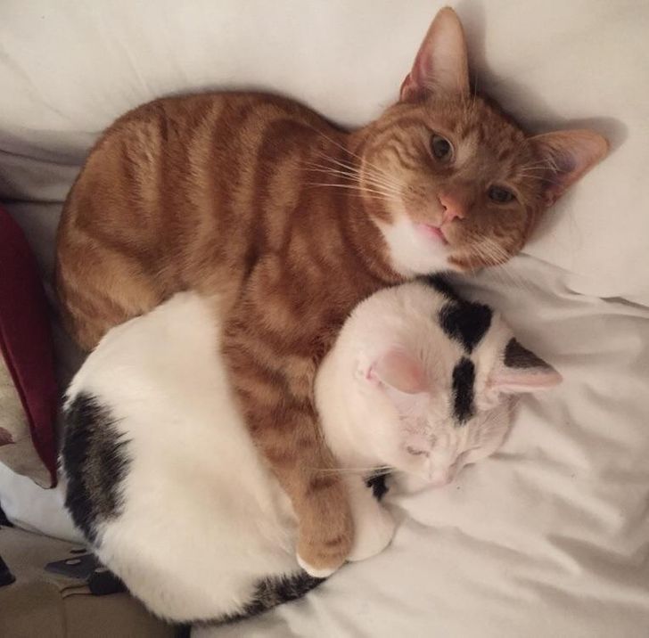 7ca2205603a09ada0b955fe26e