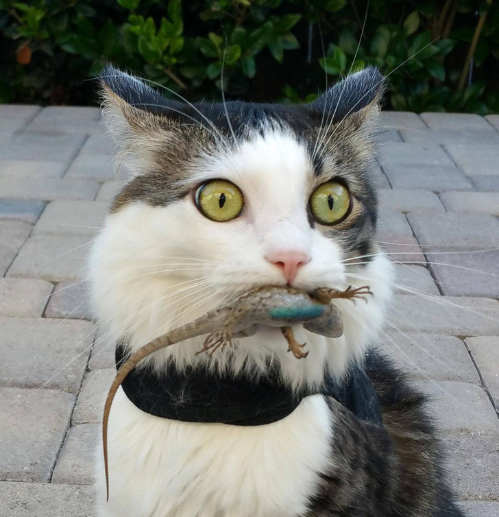 7ca899521c9020e2e87f9bf362 7ca899521c9020e2e87f9bf362