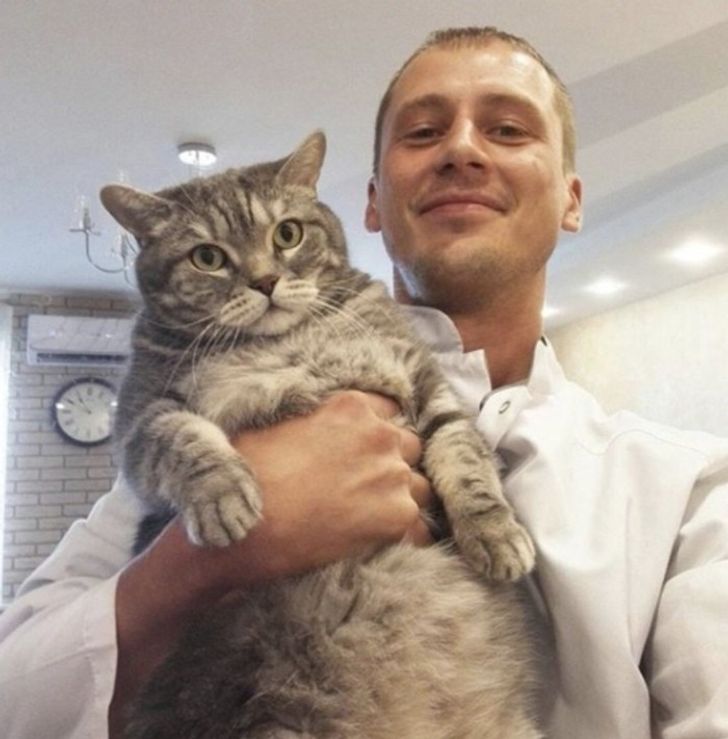 7cab2d559d8ab2f2899a74ea56