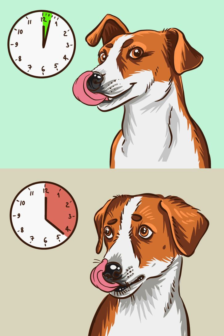 7cabc25c098b01f20a7749373f