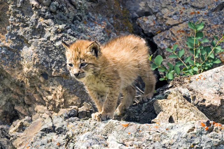 7cb7c55044a1edd70cbb98eeea