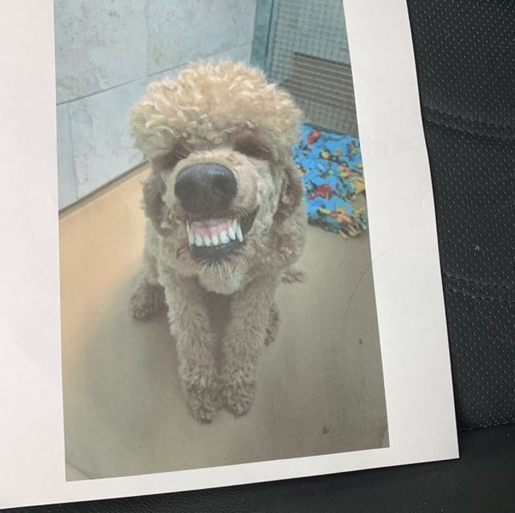 7cc0745ae3ae6dbb962759cece