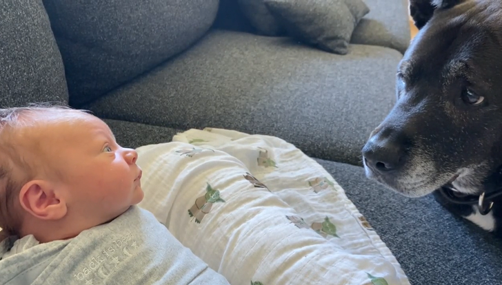 7cc11c58acb4577174c0ec3690