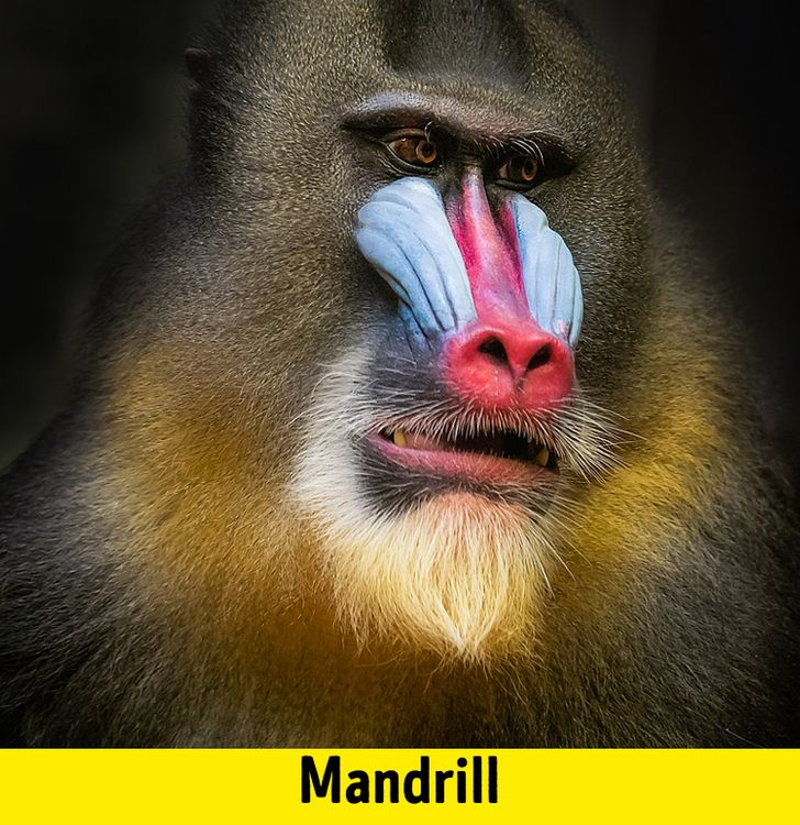 7cc8ed5cf38fa3252a7e09d22d