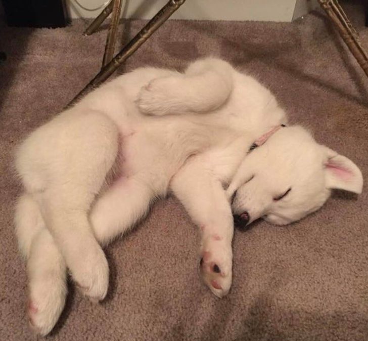 7ccf2554d99170684c9c3d3725