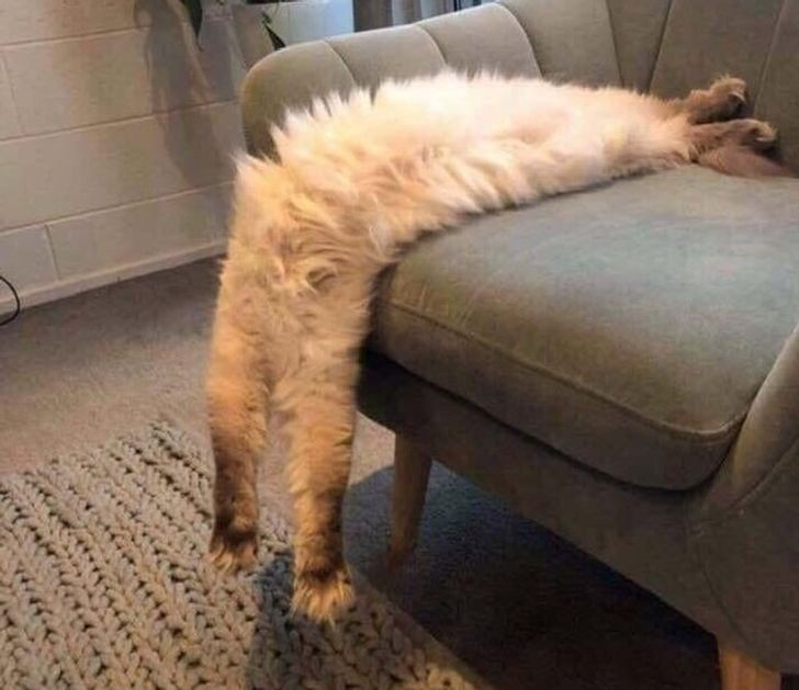 7cd4c0585a8caf5f44577f2661