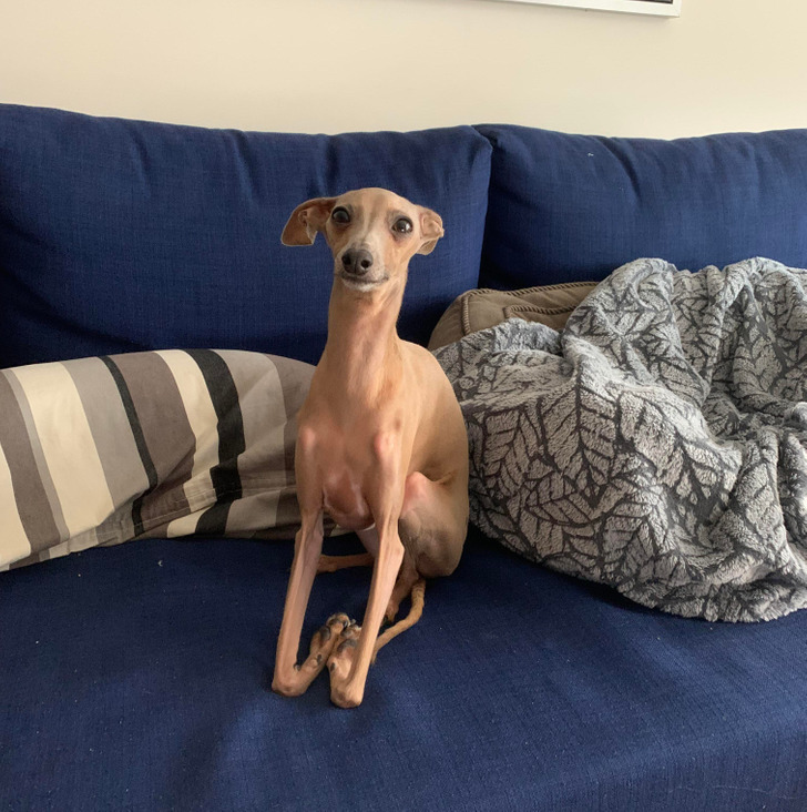 7cf5da57b699fedb238ff85e08