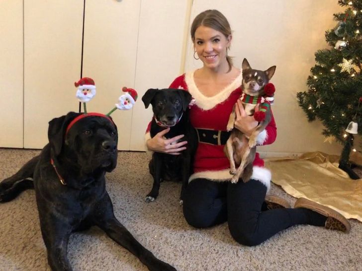 7d06435f5c986a19dfe90361b2 7d06435f5c986a19dfe90361b2