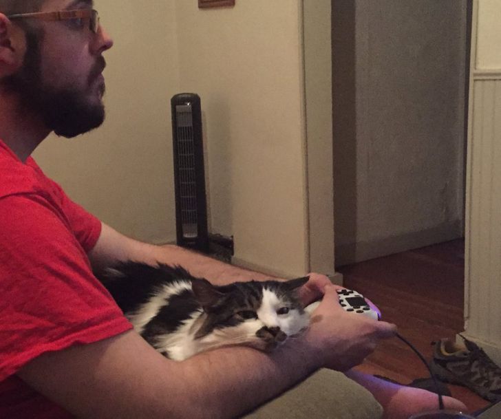 7d13485b929f3a3ff2e4d7104d