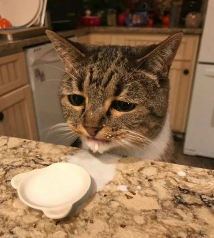 7d268b5e3996b625fc536e0064