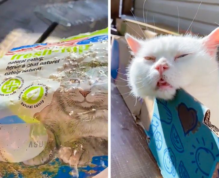 7d30e950bebfe31f1597ae1238