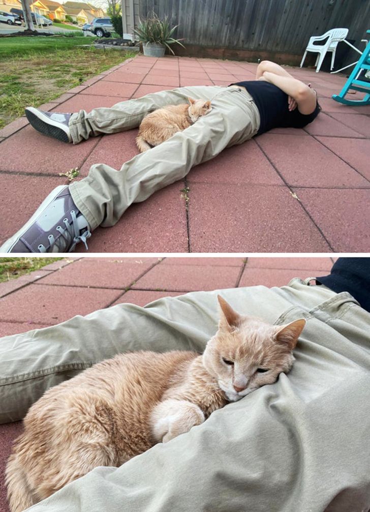 7d322156a9a1b2f51ad3f20f5b 7d322156a9a1b2f51ad3f20f5b