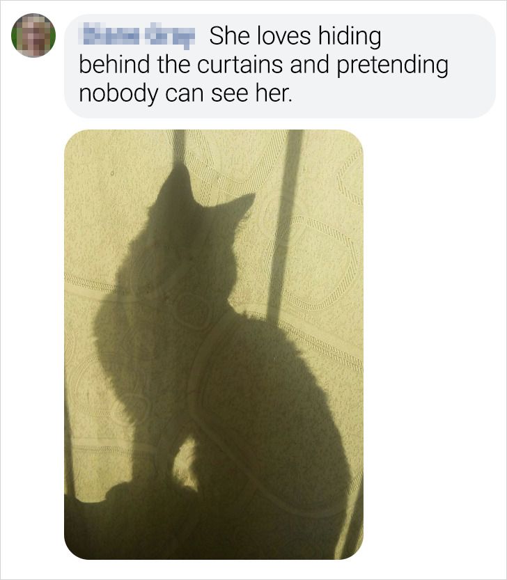 7d351b573e91c76e9b2722ed49