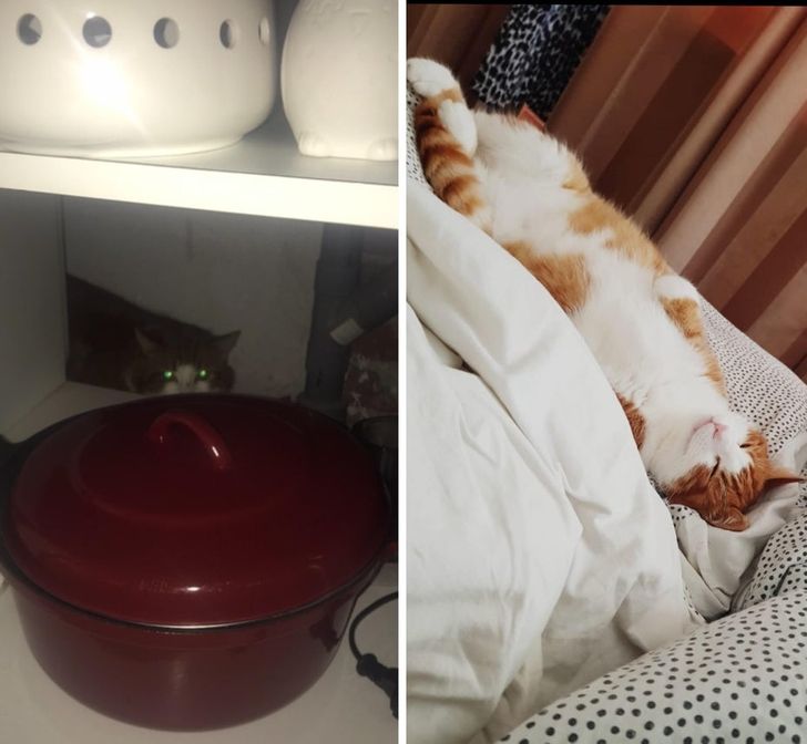 7d35495a5bb417815b0e8a306b