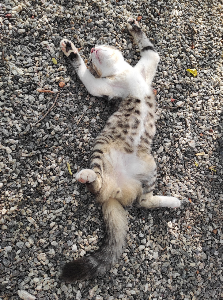 7d43ca532e8744e210f27c3c57 7d43ca532e8744e210f27c3c57