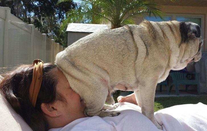 7d459156329ea4c30a924dc232