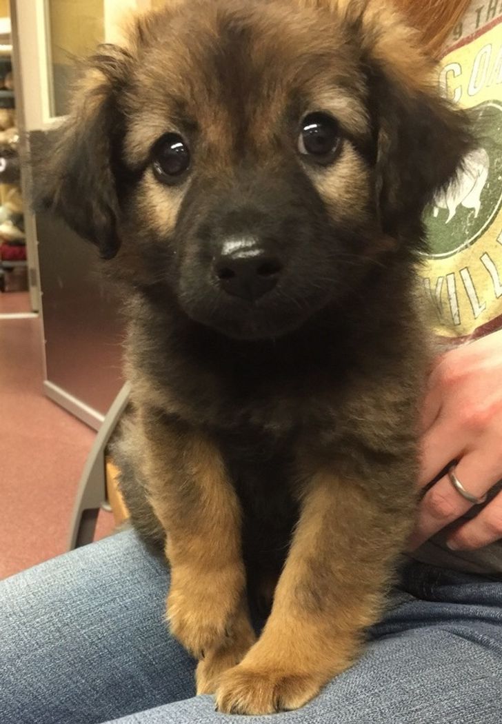 7d47e0575699389d4ea7bc7569