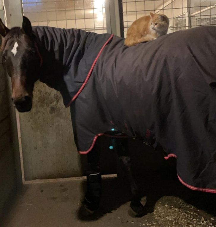 7d495654248e21de7bf6a1f186