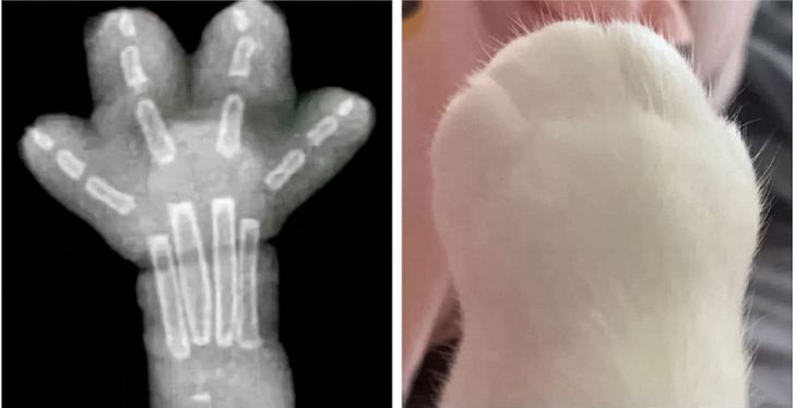 7d51c25ad8880f5ae821633ec3