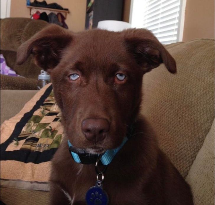 7d5b40516293541dc476f99501