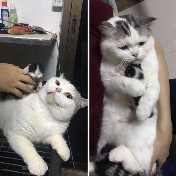 7d5eae5a7685892fbd715fd8e0