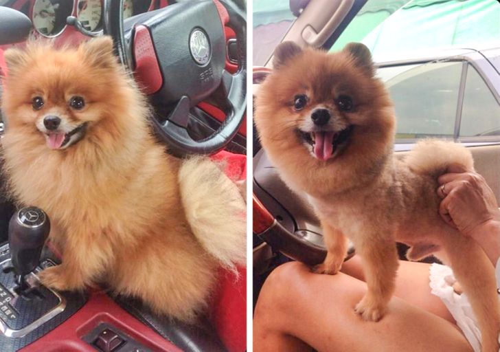 7d66595b569a75f832b27c2053