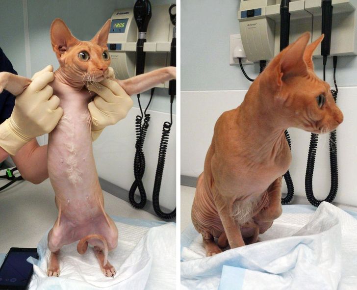 7d734450b0b2b181802992fdbd