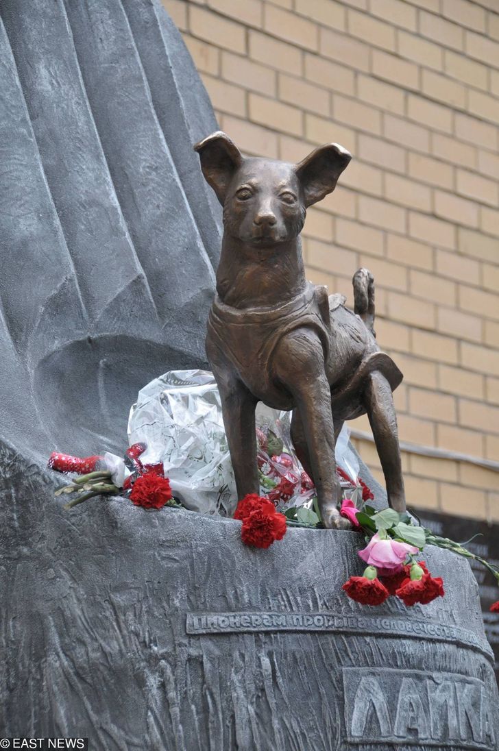 7d7e4954b9ad7326b0bf7aacfd