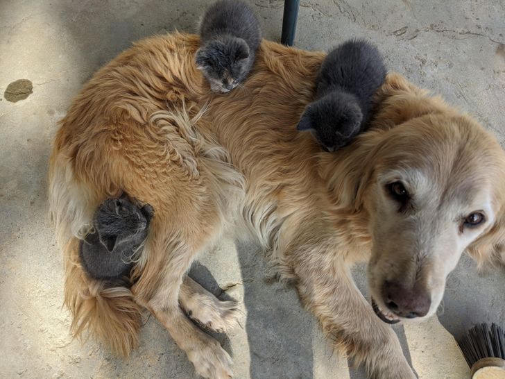 7d7f6a5a5ea7e0d862dd0bea5e